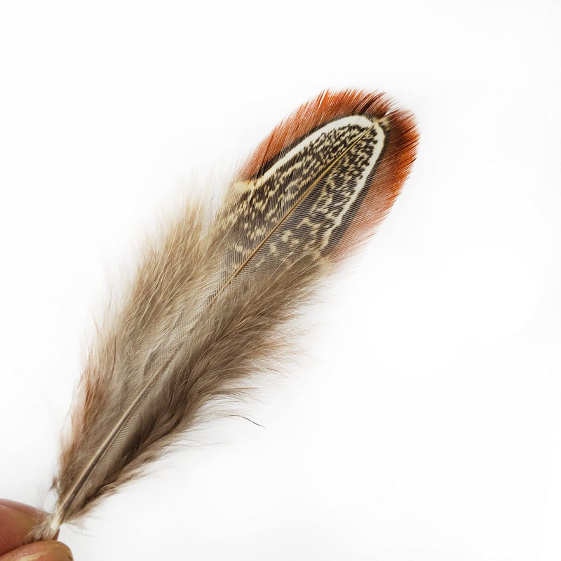HAPPY FEATHER 50 pcs Natural Pheasant Plumage Feathers 2-3 Inches Plumage Feathers for Sewing Crafts Clothing Decorating Accessories -Nature - Image 2